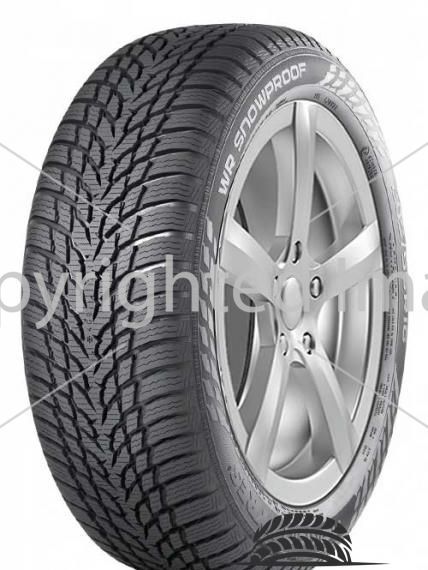 Автомобильные шины Nokian WR Snowproof 245/40 R20 99W